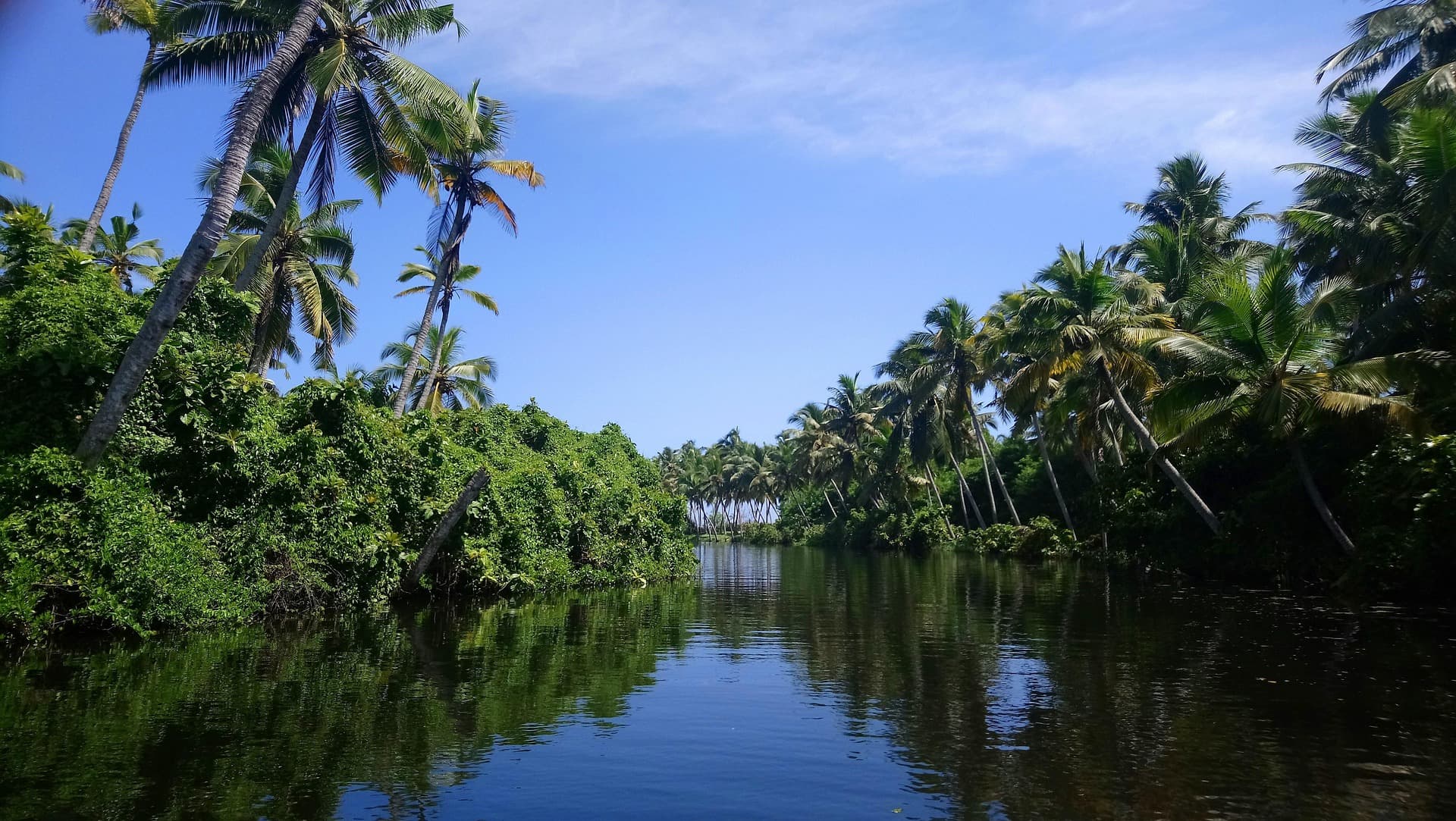 Kerala Backwaters destination photo 2