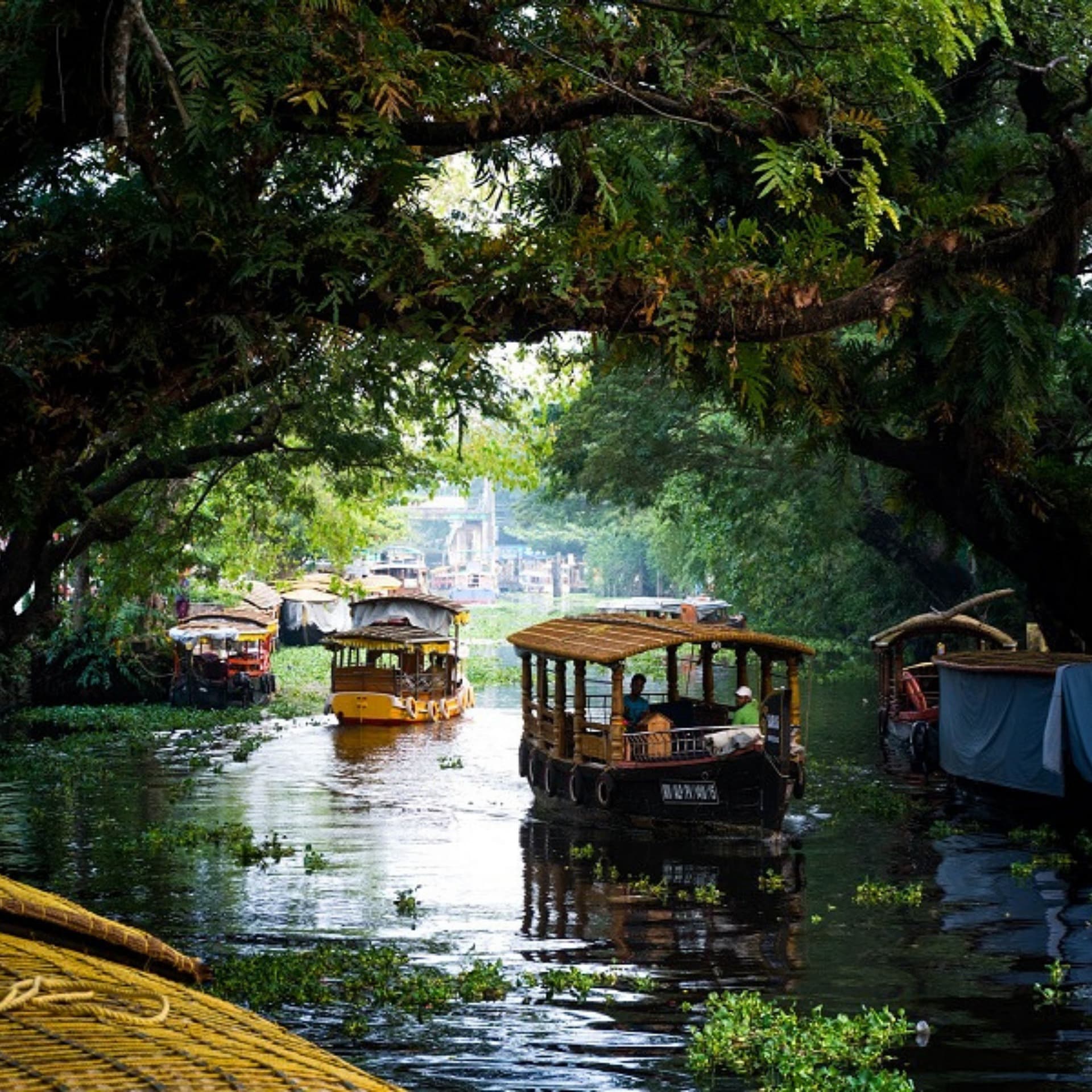 Kerala Backwaters destination photo 3