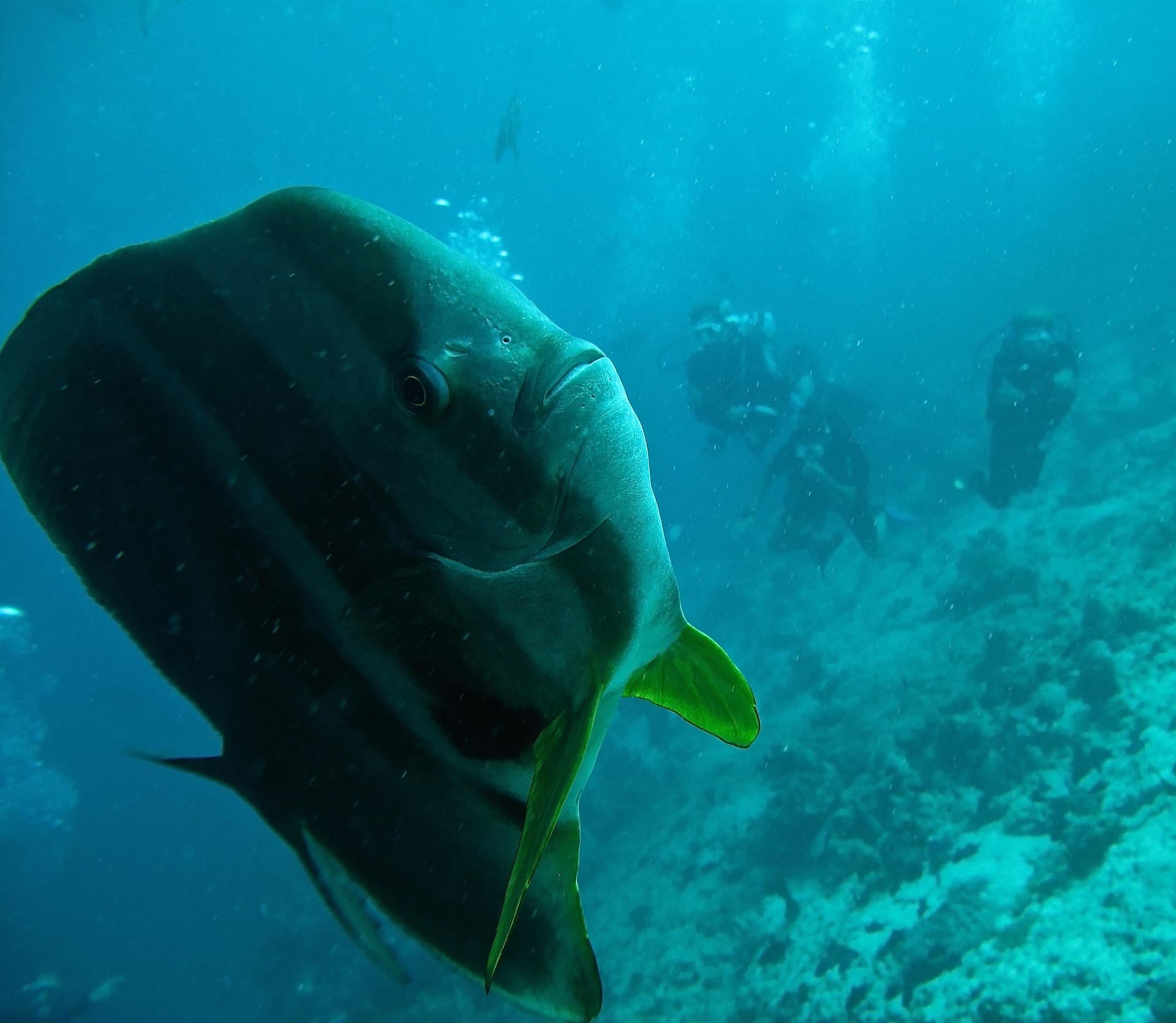 Maldives Luxury Escape destination photo 2