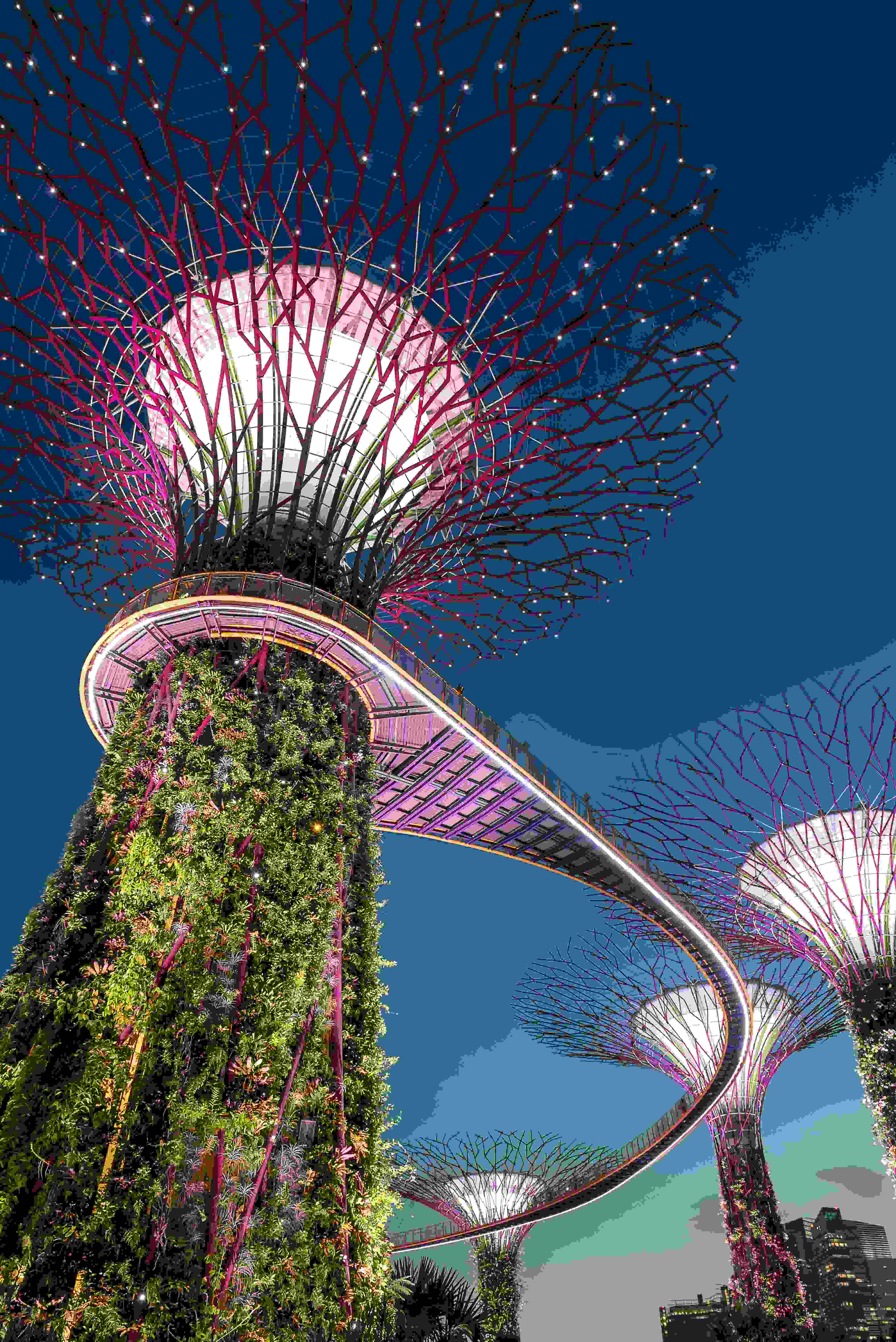 Singapore City Highlights destination photo 3